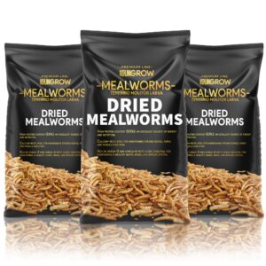 Premium Dried Mealworms for Wild and Garden Birds - High Protein Natural Bird Feed - Perfect for Robins