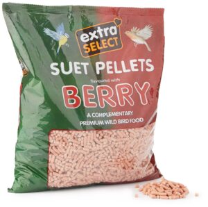 Extra Select Berry High Energy Suet Pellets Wild Bird Food - Protein