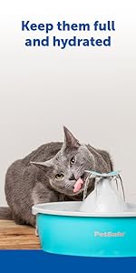 PetSafe, dog and cat products, pet fountain, cat flap, dog door, pet toys, cat fountain, kurgo