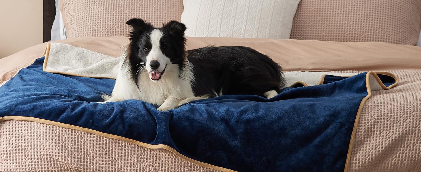 dog blanket navy