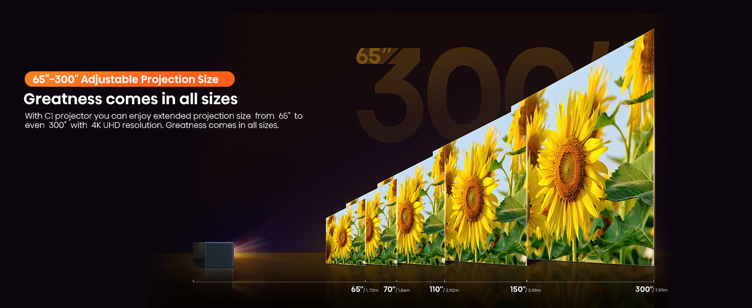 65"-300" Adjustable Projection size