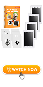 Dog Paw Print Kit