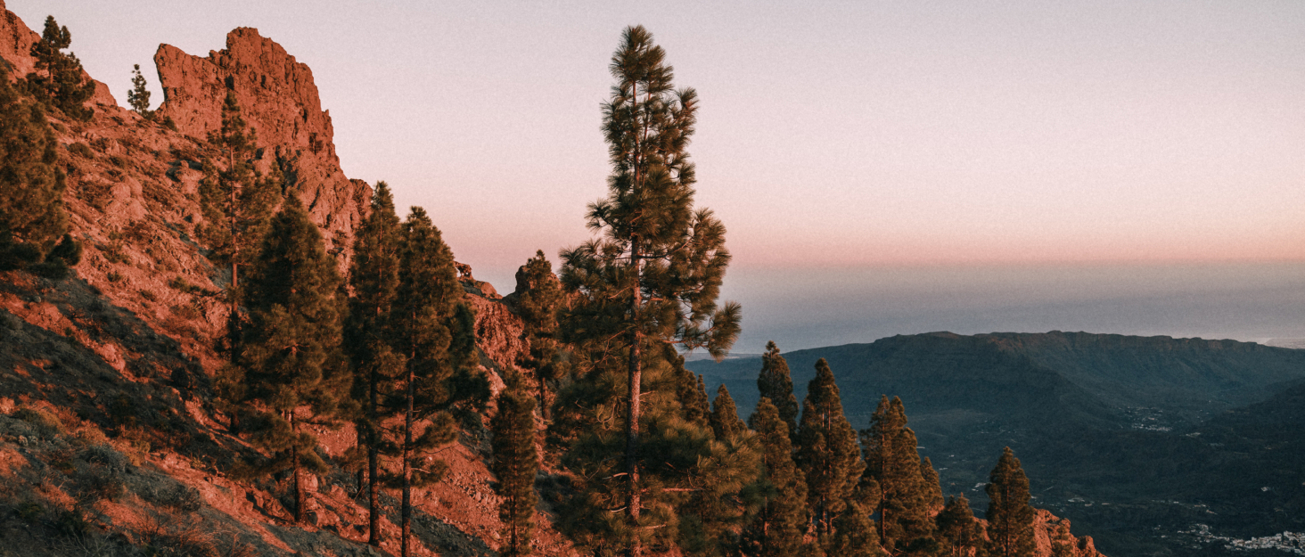 spring mountain with trees passenger clothing