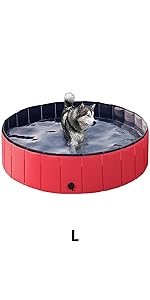dog pool
