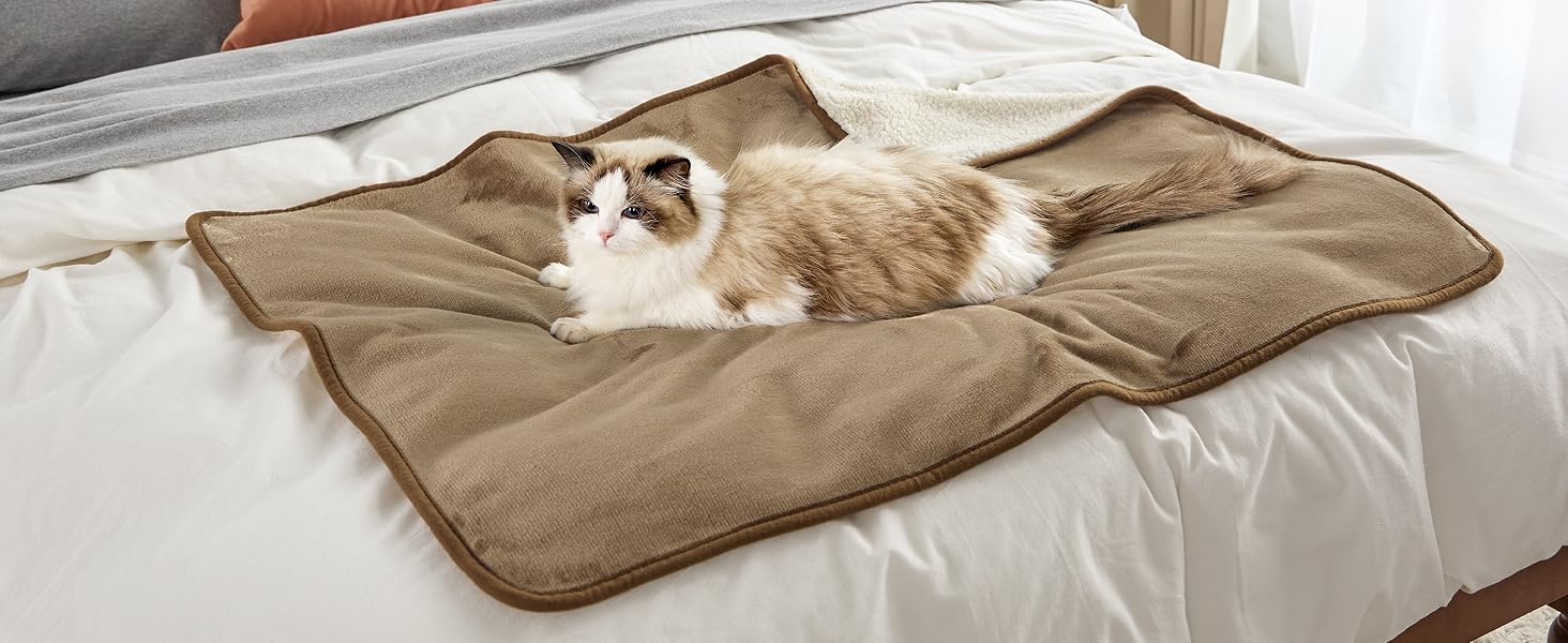 cat blanket
