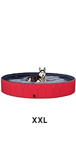 dog pool