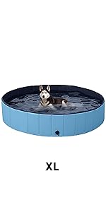 dog pool
