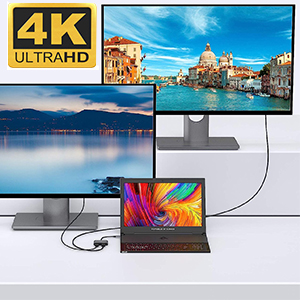 usb c to dual hdmi adapter