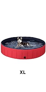 dog pool