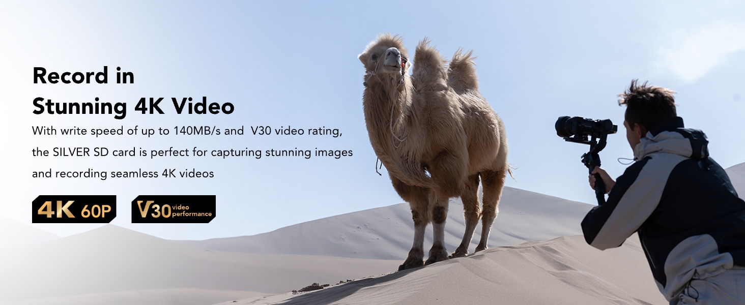 Lexar Silver SD Card 128GB