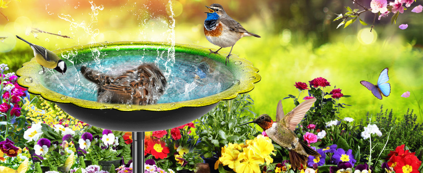 bird bath bowl