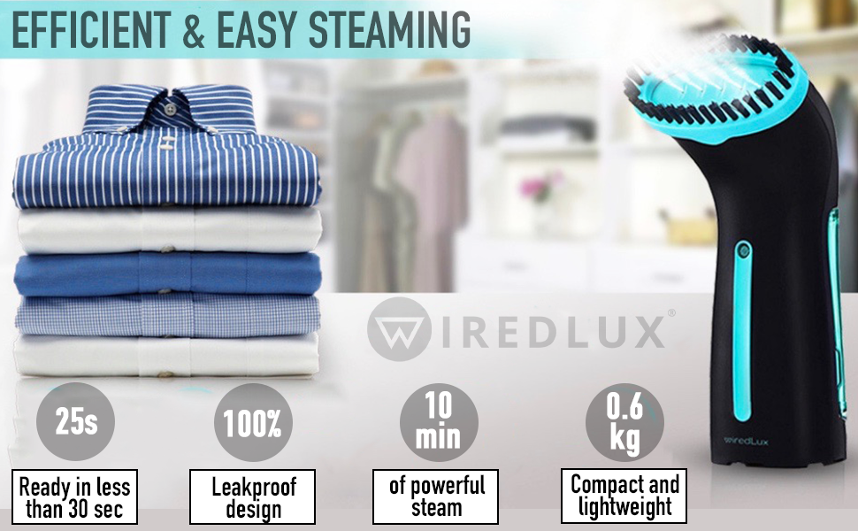 clothes steamer handheld