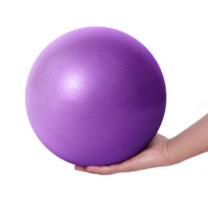 Fresion 25cm Soft Pilates Ball/Small Exercise Ball - Mini Yoga Ball