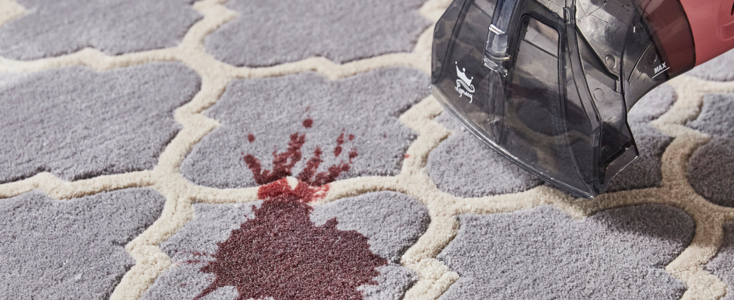 Lynsey Queen of clean carpet cleaner