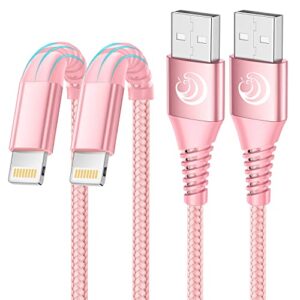 Yosou iPhone Charger Cable 3M 2Pack
