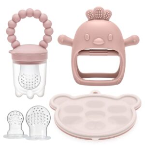 CLDY Baby Fruit Food Feeder & Mini Freezer Nibble Tray Combo