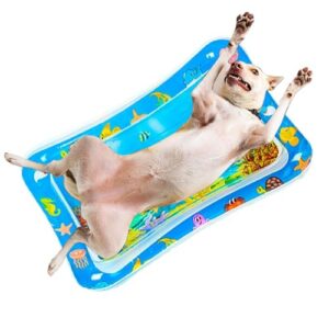 Sensor Water Play Mat