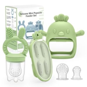CLDY Baby Fruit Food Feeder & Mini Freezer Nibble Tray Combo
