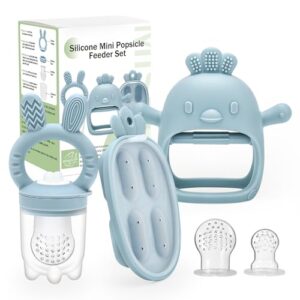 CLDY Baby Fruit Food Feeder & Mini Freezer Nibble Tray Combo
