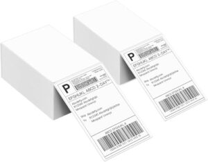 Thermal Direct Shipping Label (Pack of 1000 4x6 Fan-Fold Labels)