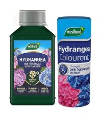 hydrangea plant food