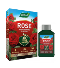 rose plant fertiliser
