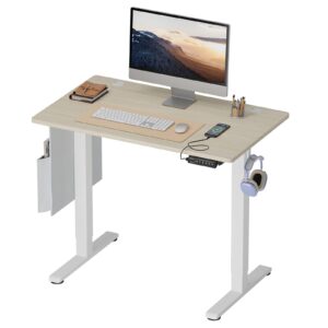 Bestier Electric Standing Desk Height Adjustable Standing Desk with USB port Stand up Table Sit Stand Desk with Backpack Hook Side Bags and Memory Smart Pannel