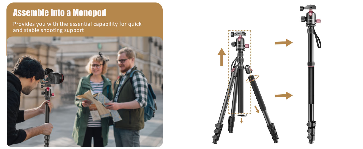 tripod4