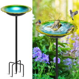 MeyRolizn Bird Bath for Outside