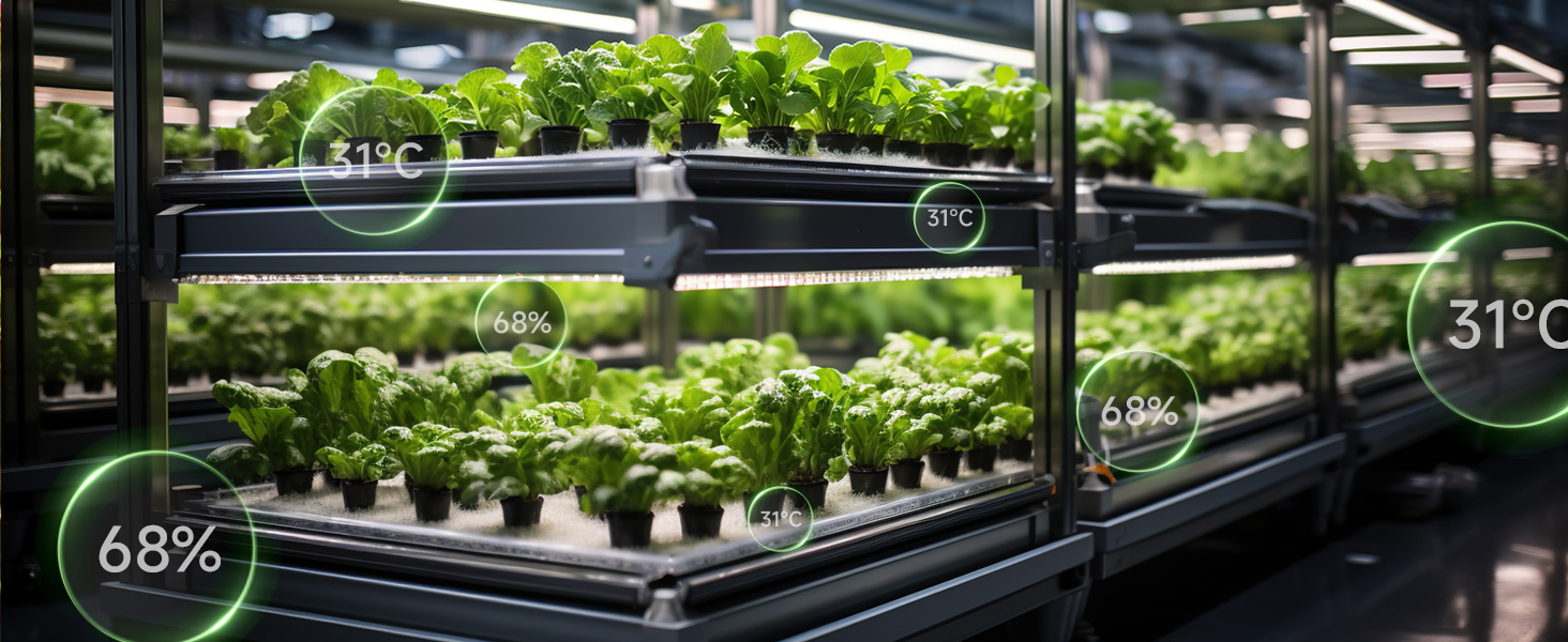 Greenhouse Thermometer