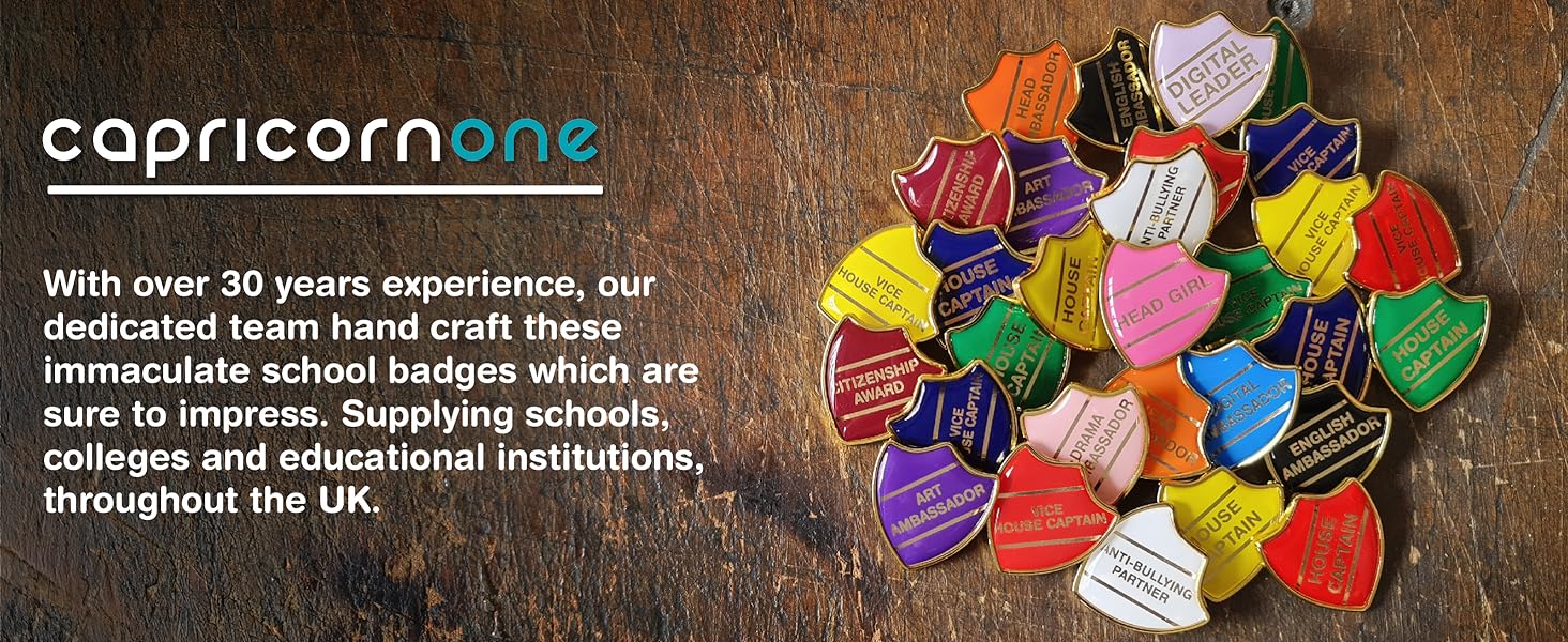 School Badge, Custom made, Gold Pins, Apparel, Flair, Prefect, School, Badge, Resin Domed, Unique