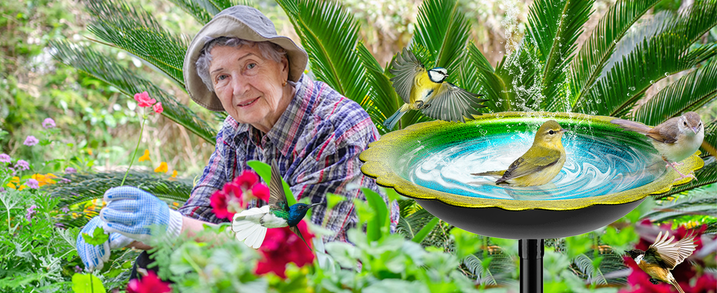 birdbath bowl