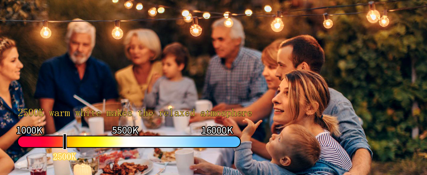 LED festoon light 50ft