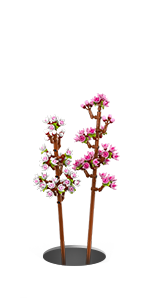 lego botanicals flowers