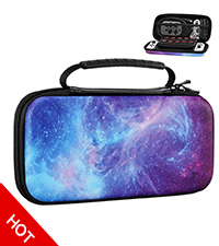 nintendo switch travel case