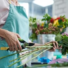 Trimming the flowers