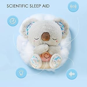 Anxietys bear
