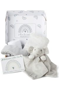 Baby Box Shop - 5 Newborn Essentials Ideal as Baby Shower Gifts and Christening Baby Gifts Unisex