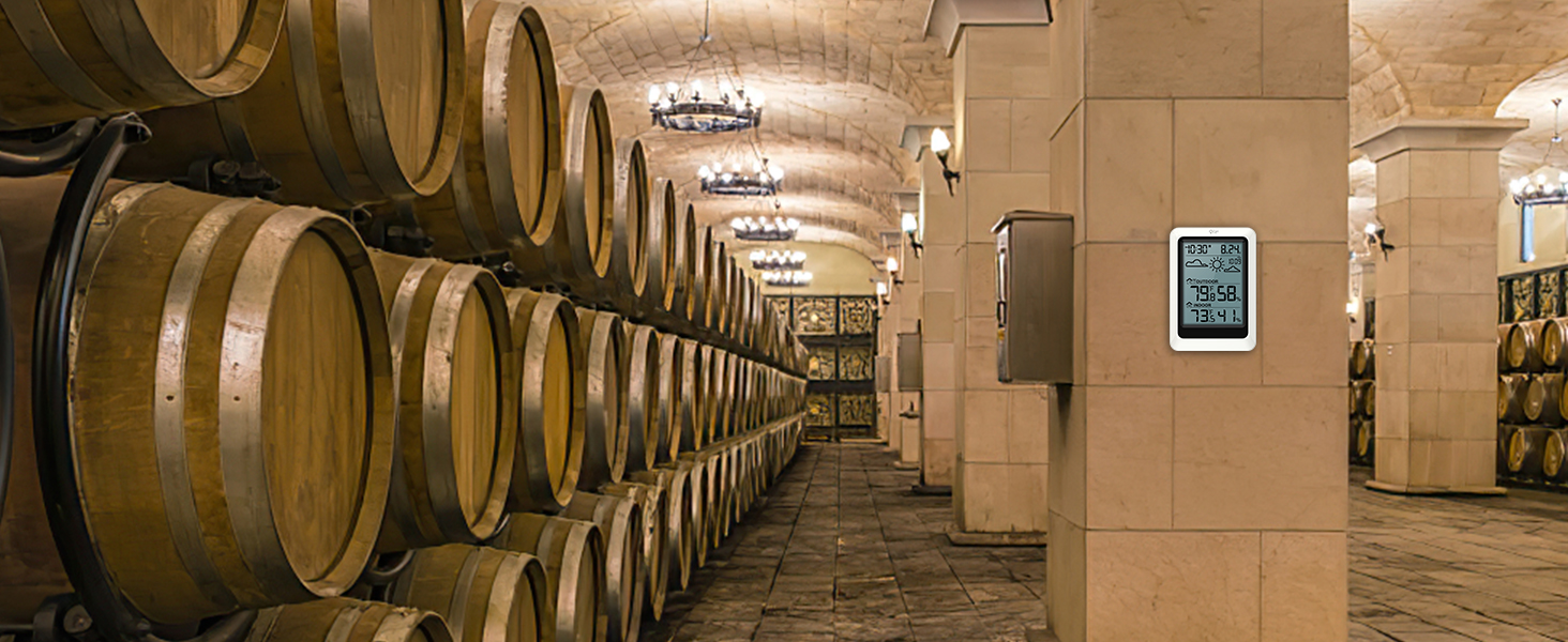 Wireless Weather Station with Sensor