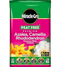 Miracle-Gro Peat Free Premium Azalea, Camellia, Rhododendron Ericaceous Plants Compost