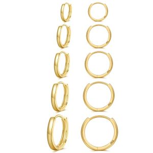 Senteria 925 Sterling Silver Hoop Earring 5 Pairs Small Silver Hoop Earrings Hypoallergenic Silver Hoop Earring for Women Cartilage Sleepers Huggie Earrings Sets 8/10/12/14/16mm