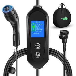 Yigowyigo EV Charger Cable Type 2 to 3 Pin Plug 10M