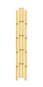 bamboo canes
