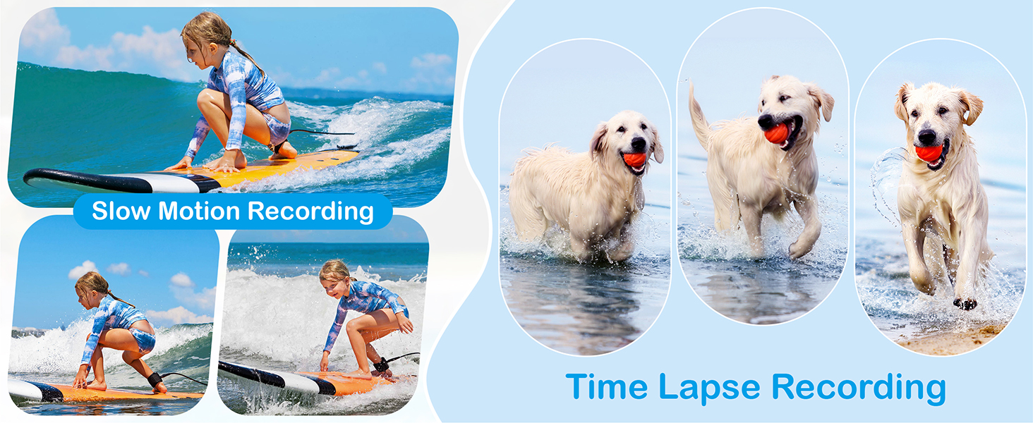 point and shoot digital cameras