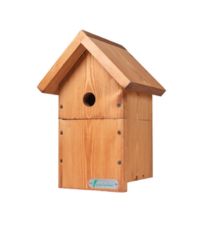 small wooden bird box