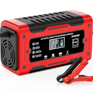 6A Car Battery Charger