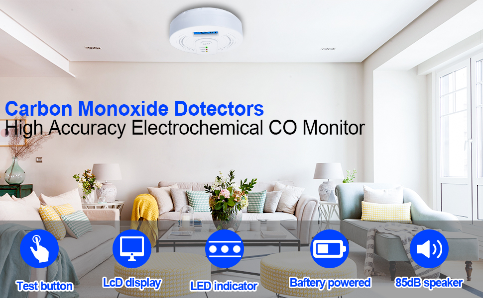 Carbon Monoxide Detector