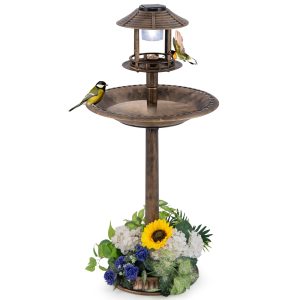 COSTWAY Bird Feeder Bath
