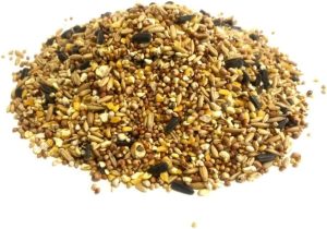 *New* Everyday Mixture 1.5Kg Premium Wild Bird Food Garden Seed Feed XLW