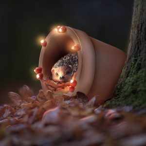 Muldale Hedgehog Solar Light in Plant Pot - Hamish the Hedgehog Garden Ornament Outdoor - Hand Painted Solar Animals for the Garden - Woodland Creature Ornaments - Gift Boxed